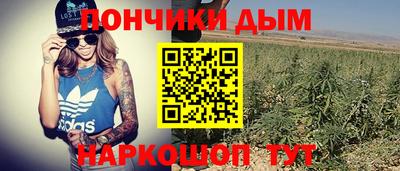 крисы Апшеронск