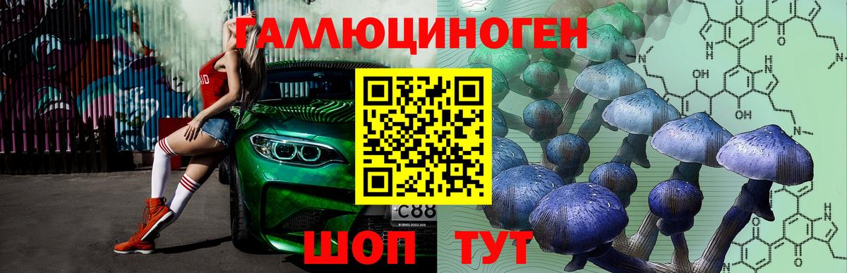 Псилоцибиновые грибы мицелий  Вход с VPN  Выкса  Галлюциногенные грибы Psilocybe 